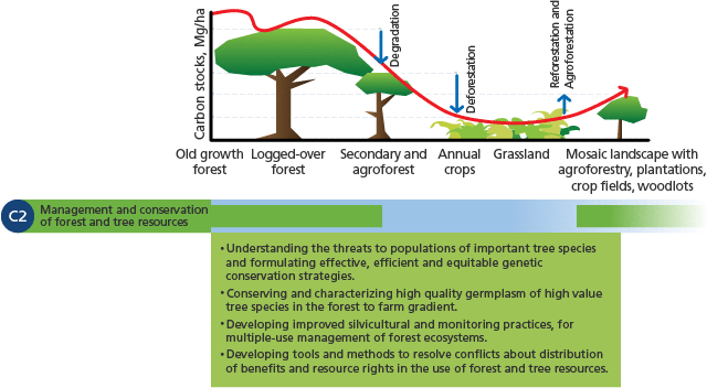 Flagship 2: Management And Conservation Of Forest And Tree Resources ...