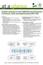 Gender-strategy-for-the-CGIAR-Research-Program-on-Forests-Trees-Agroforestry