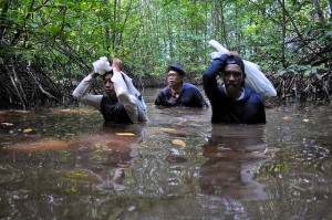 West Kalimantan: Both water scarcity and rising sea levels are predicted to severely affect Asian countries. Photo: Kate Evans/CIFOR