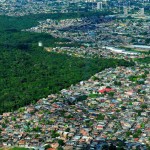 Aerial view of the Amazon Rainforest