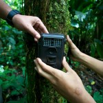 A camera trap in Gunung Halimun-Salak National Park, Indonesia, to monitor biodiversity. Photo: Mokhamad Edliadi/CIFOR