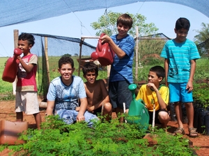 Children in Marília, Brazil, learning to nurture moringa saplings as part of their school curriculum. Photo: B4FN