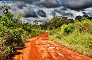 Road into the forest, Madre de Dios, Peru. Photo: Marco Simola/CIFOR