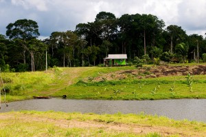 A family enjoy the afternoon on a smallholders farm along the BR-364 highway in Acre, Brazil. Photo: Kate Evans/CIFOR