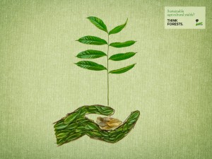 Sustainable agricultural yields. Think Forests Wallpaper/CIFOR