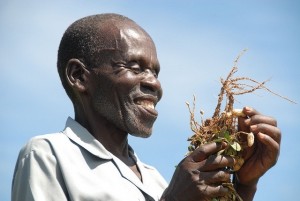 Photo: Y. Wachira/Bioversity International