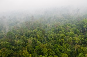 Haze from the forest fires blanket most parts of the landscape. The rainfall during the flight also contributes to the limited visibility.