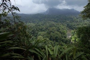 Segama River seen from the view point platform at the Borneo Rainforest Lodge area. Photo: CIFOR