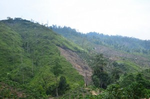 Lampung Barat District, Sumatra, Indonesia. Photo: Tuti Herawati/ CIFOR