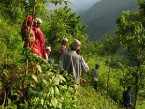 Nepalese countryside: FTA research looks at people in the landscape. Photo: Adrian Albano/CIFOR