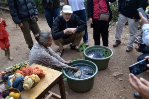 William Ingram (centre) from Threads of Life, Ubud, Bali discussing indigo dyeing with an artisan at Bosen Village, Timor Tengah Selatan, NTT. Photo: World Agroforestry Centre/James M. Roshetko