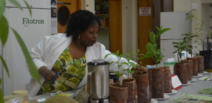 Photo: World Agroforestry Centre