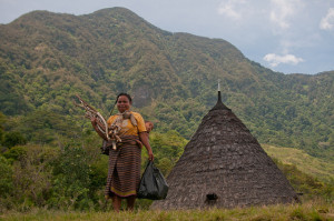 Firewood is the main energy source of Wae Rebo people in East Nusa Tenggara, Indonesia. Photo: Aulia Erlangga /CIFOR