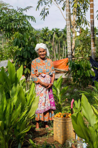 A Lubuk Beringin villager, Rahimah, 70, harvests palm nut or areca nut on her agroforestry farm at Lubuk Beringin village, Bungo district, Jambi province, Indonesia. Agroforestry can improve crop productivity in several ways: increasing soil organic matter, infiltration and water storage. Photo by Tri Saputro/CIFOR