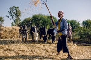 Photo: Ollivier Girard/CIFOR