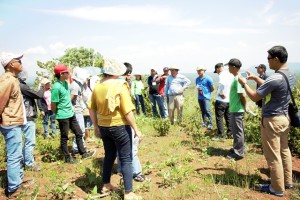 Philippine Farmers of Lantapan attend a workshop on tree-based farming systems. Photo: World Agroforestry Centre/Kharmina Paola Anit-Evangelista