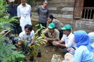 AgFor staff gives instruction to farmers on how to do grafting, South Sulawesi. Photo by: World Agroforestry Centre/AgFor South Sulawesi team