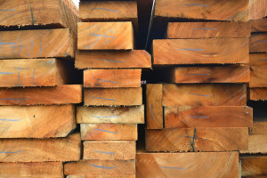 Local people look to timber certification. Photo: Nathan Russell/CIAT