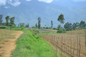 Vulnerable area in Kibangay, Lantapan, Bukidnon, Philippines. Photo: - Ophelia Rosario/ICRAF