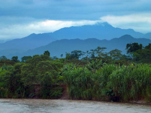 Photo: Bruno Locatelli/CIFOR