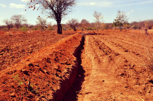 To understand climate change it is important to look at soils and emissions. Photo: World Agroforestry Centre
