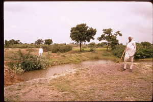 Rainwater harvesting. Photo: International Rivers