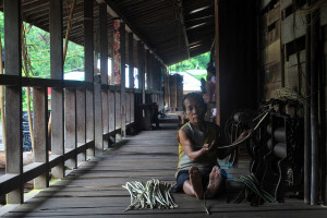 West Kalimantan - Indonesia, 2009. ©Center For International Forestry Research/Yayan Indriatmoko