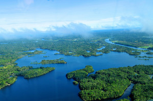 Aerial view of the Amazon Rainforest, near Manaus, the capital of the Brazilian state of Amazonas, Brazil. Photo: Neil Palmer/CIAT and CIFOR