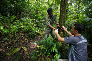 More accurate data could help the more than 50 countries that want to take part in REDD in order to develop more credible national inventories of their carbon stocks. Photo: Mokhamad Edliadi/CIFOR