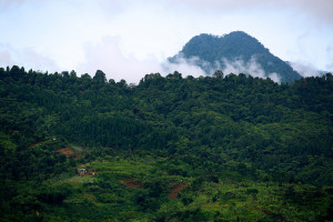 Conservation through national parks should not be the only solution. Gunung Halimun-Salak National Park, Java, Indonesia. Photo: Mokhamad Edliadi/CIFOR