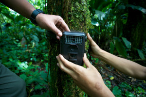 Forest monitoring in Indonesia. Photo: Mokhamad Edliadi/CIFOR