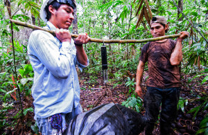 The villagers try to make a living from all forest products. Photo: Marco Simola/CIFOR