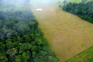 Deforestation in Acre, Brazil. Photo: Kate Evans/CIFOR