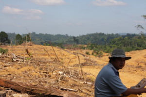 It is feared that the expansion plans for sugarcane will lead to further deforestation in Indonesia, here a scene from Jambi. Photo: Patrice Levang/CIFOR