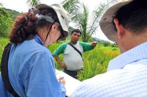 Mainstreaming gender should be about more than just ticking a box. Photo: Neil Palmer/CIAT