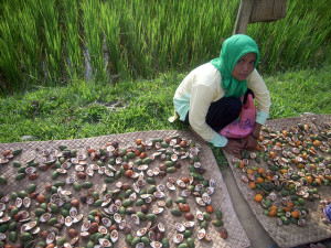 A lot of livelihoods depend on palm oil in Indonesia. Photo: Hari Priyadi/CIFOR