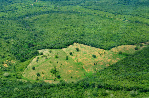 Deforestation in the Amazon. Photo: Neil Palmer/CIAT