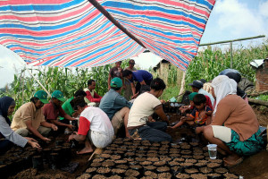 Farmer group training: The AgFor project in, Sulawesi, Indonesia, is recognized as one of the most successful partnerships of FTA. Photo: Enggar Paramita/ICRAF