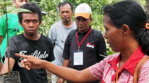 Bangu Kahi Nona (r) discussing grafting at Campaga. Photo: Rob Finlayson/ICRAF