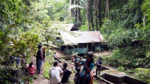 Looking at a restored forest. Photo: Rob Finlayson/ICRAF