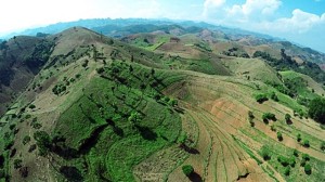 Model agroforestry landscape in Son La Province. Photo: World Agroforestry Centre