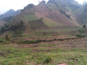 Monocultural cropping and degraded land. Photo: Robert Finlayson/World Agroforestry Centre