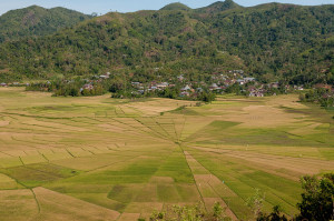 Photo: Sustainable land-use planning needs coordination. Aulia Erlangga/CIFOR