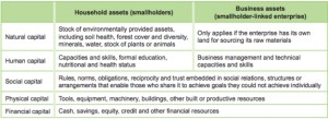 5Capitals-G assessment methodology.