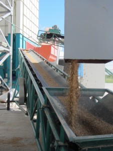 A rice processing plant in Zambezia province. Photo: George Schoneveld