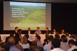 What challenges do REDD+ countries have in common? Photo: Bruno Locatelli/CIFOR