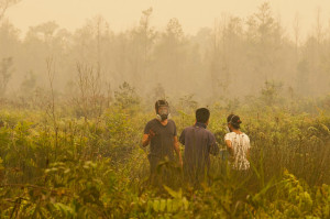 David Gaveau, CIFOR Scientist explains that fires are burning on degraded lands, previously the site of the 1997 forest fires. Palangka Raya, Central Kalimantan. Photo: Aulia Erlangga/ CIFOR