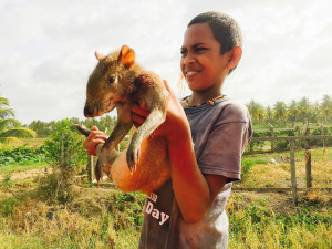 Boy selling the rodent agouti in Guyana. Photo: Manuel Lopez/CIFOR