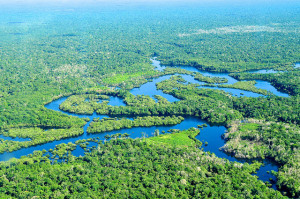 One key condition to move forward with REDD+ seems to be the upfront investment a country needs to make. While this is a burden for most countries in the short term, in the long term it instills a sense of ownership, as seen in the cases of Brazil. Photo: Neil Palmer/CIAT