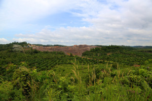 Oil palm production is changing nature in East Kalimantan as well. Photo: Mokhamad Edliadi/CIFOR